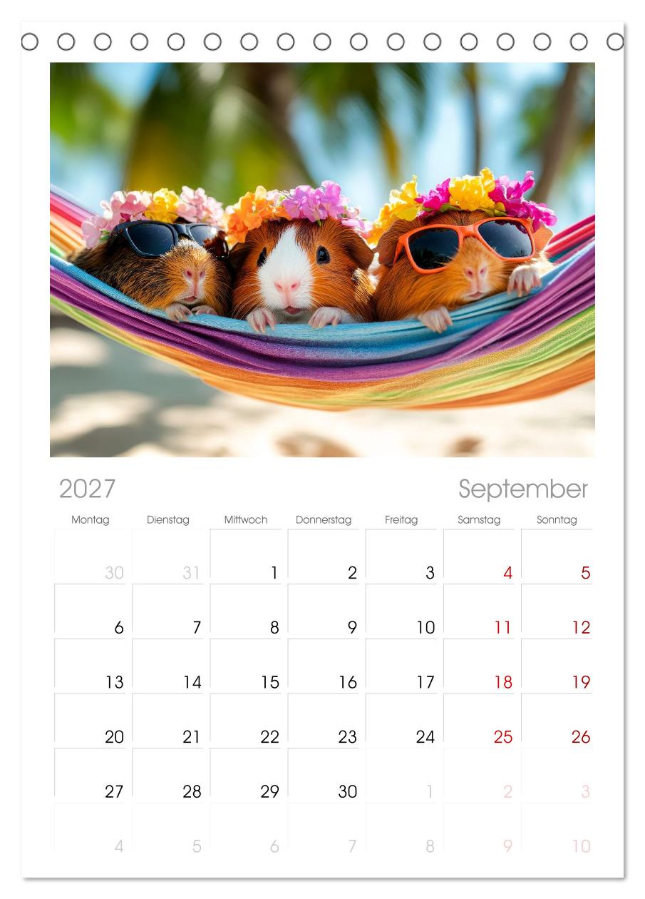 Meerschweinchen - Hauptsache Urlaub