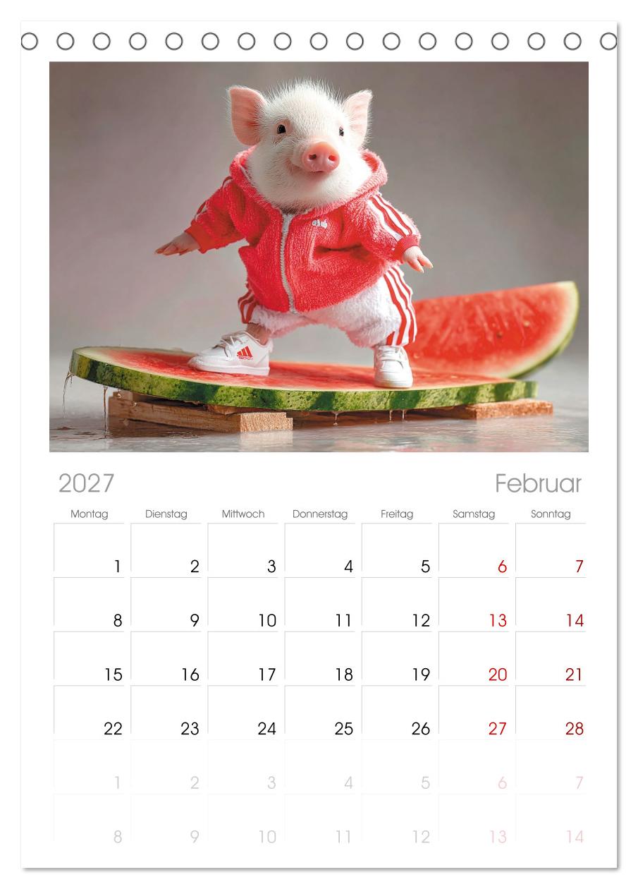 Vom Glück, ein Schweinchen zu sein