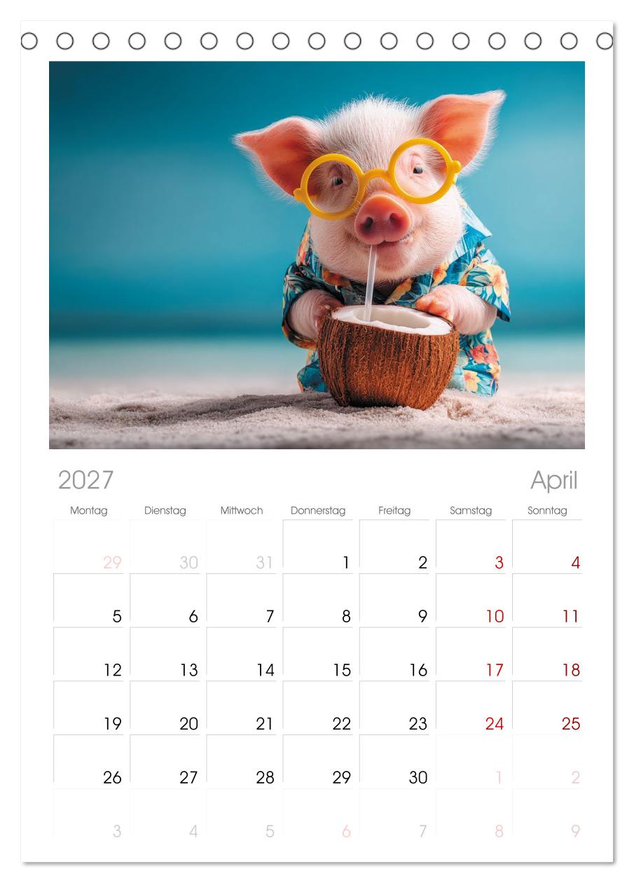 Vom Glück, ein Schweinchen zu sein