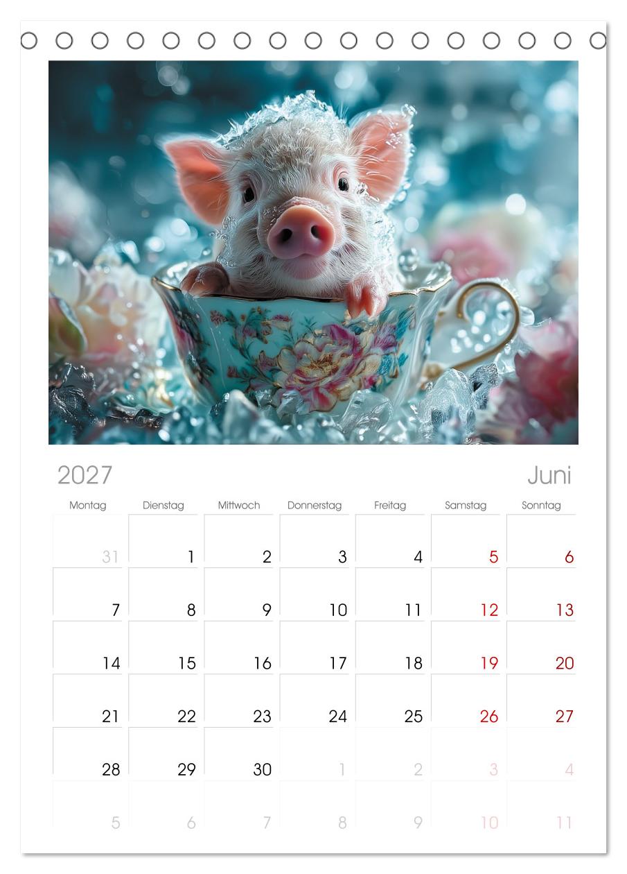 Vom Glück, ein Schweinchen zu sein