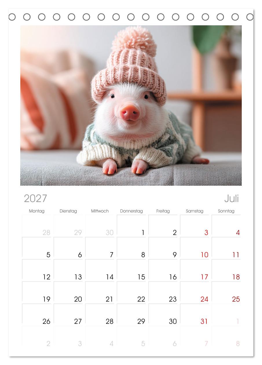 Vom Glück, ein Schweinchen zu sein