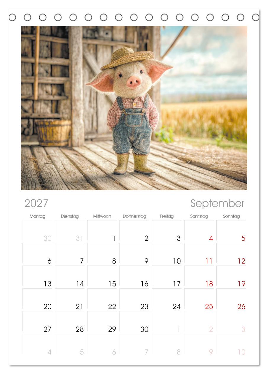 Vom Glück, ein Schweinchen zu sein