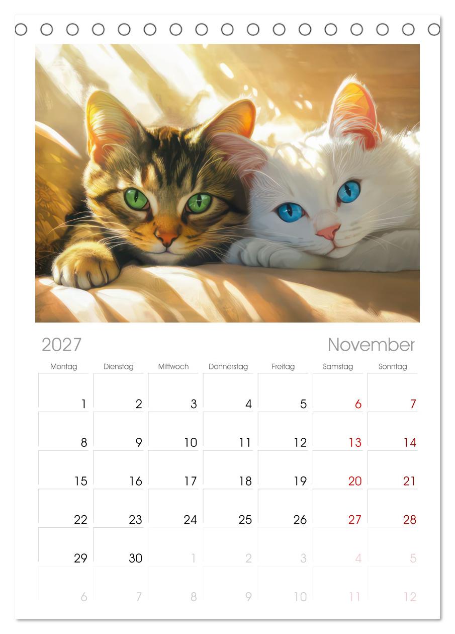 Katzen Illustrationen - Faszination pur