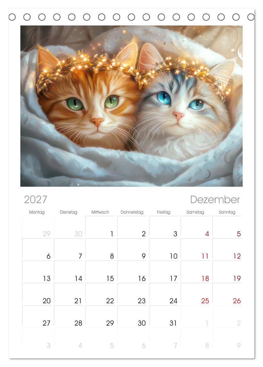 Katzen Illustrationen - Faszination pur