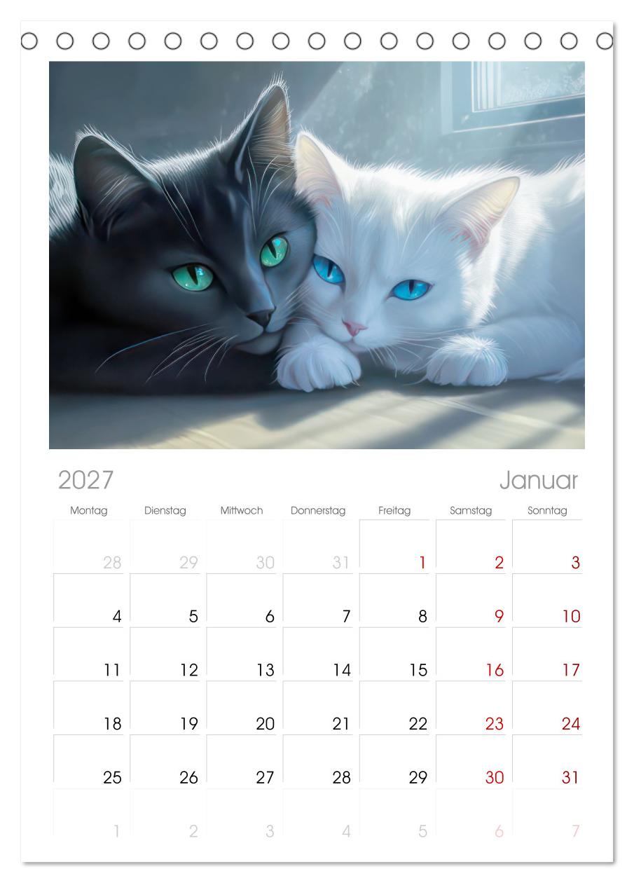 Katzen Illustrationen - Faszination pur