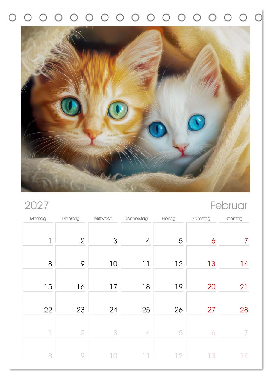 Katzen Illustrationen - Faszination pur