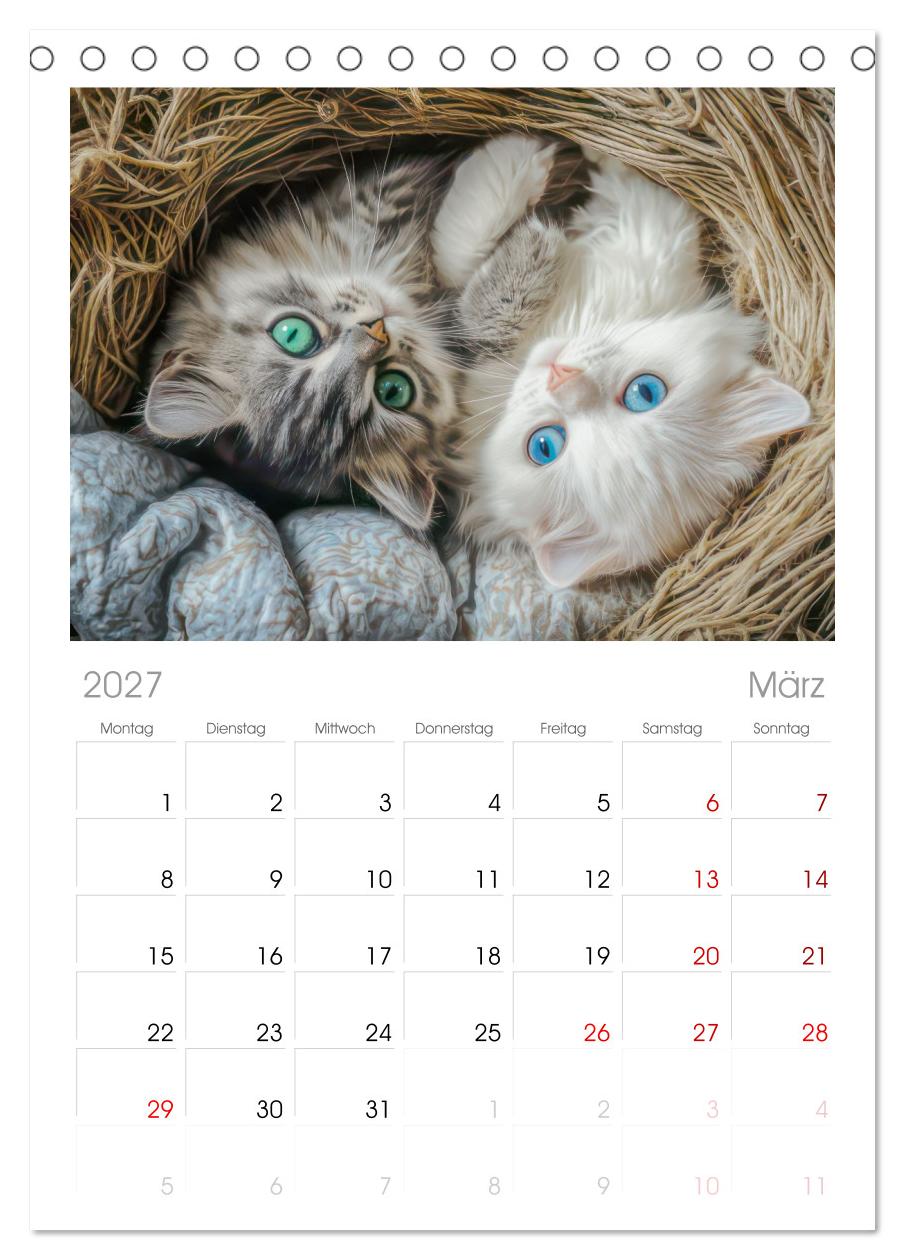 Katzen Illustrationen - Faszination pur