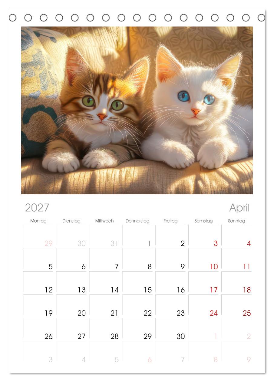 Katzen Illustrationen - Faszination pur
