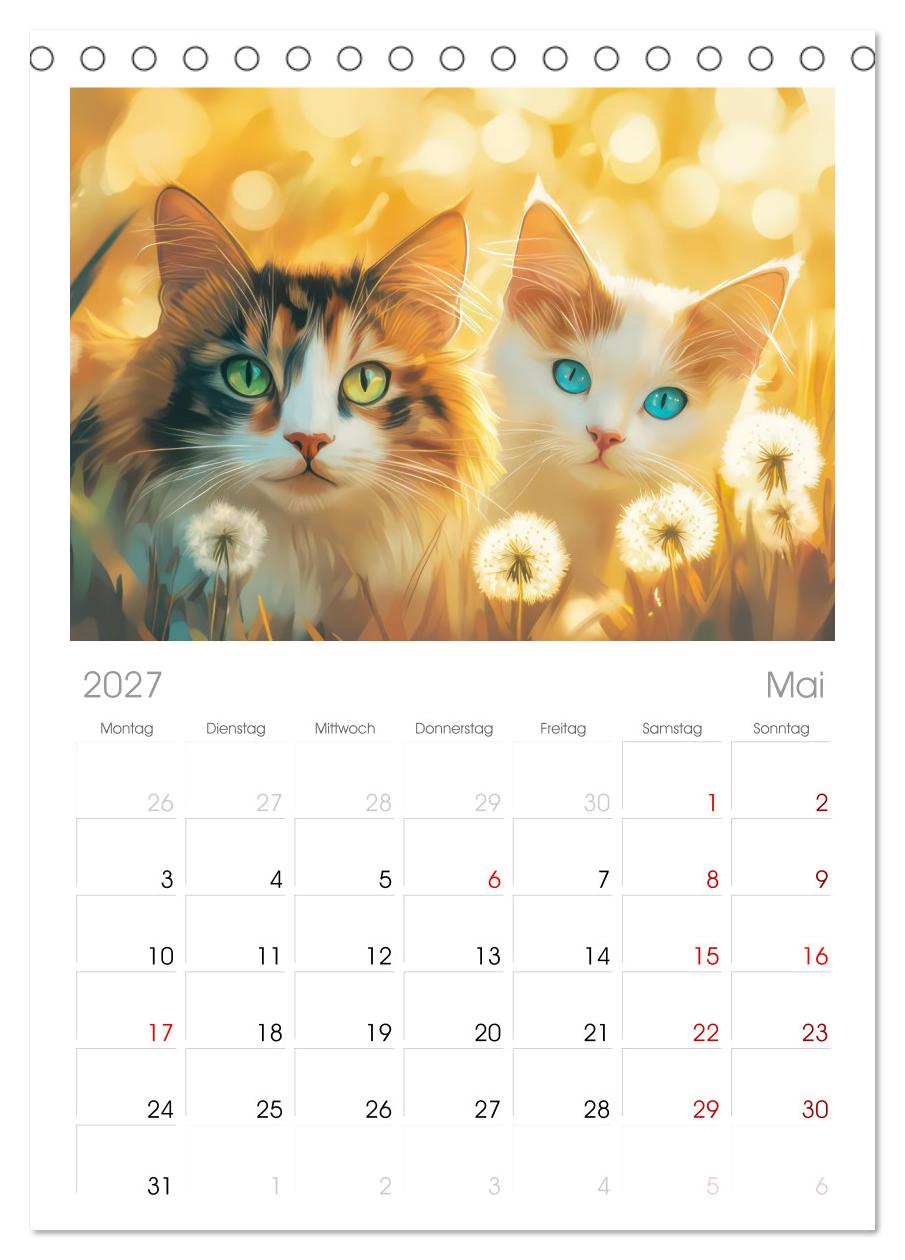 Katzen Illustrationen - Faszination pur