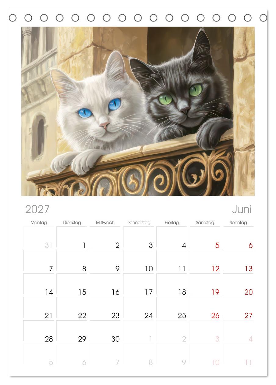 Katzen Illustrationen - Faszination pur