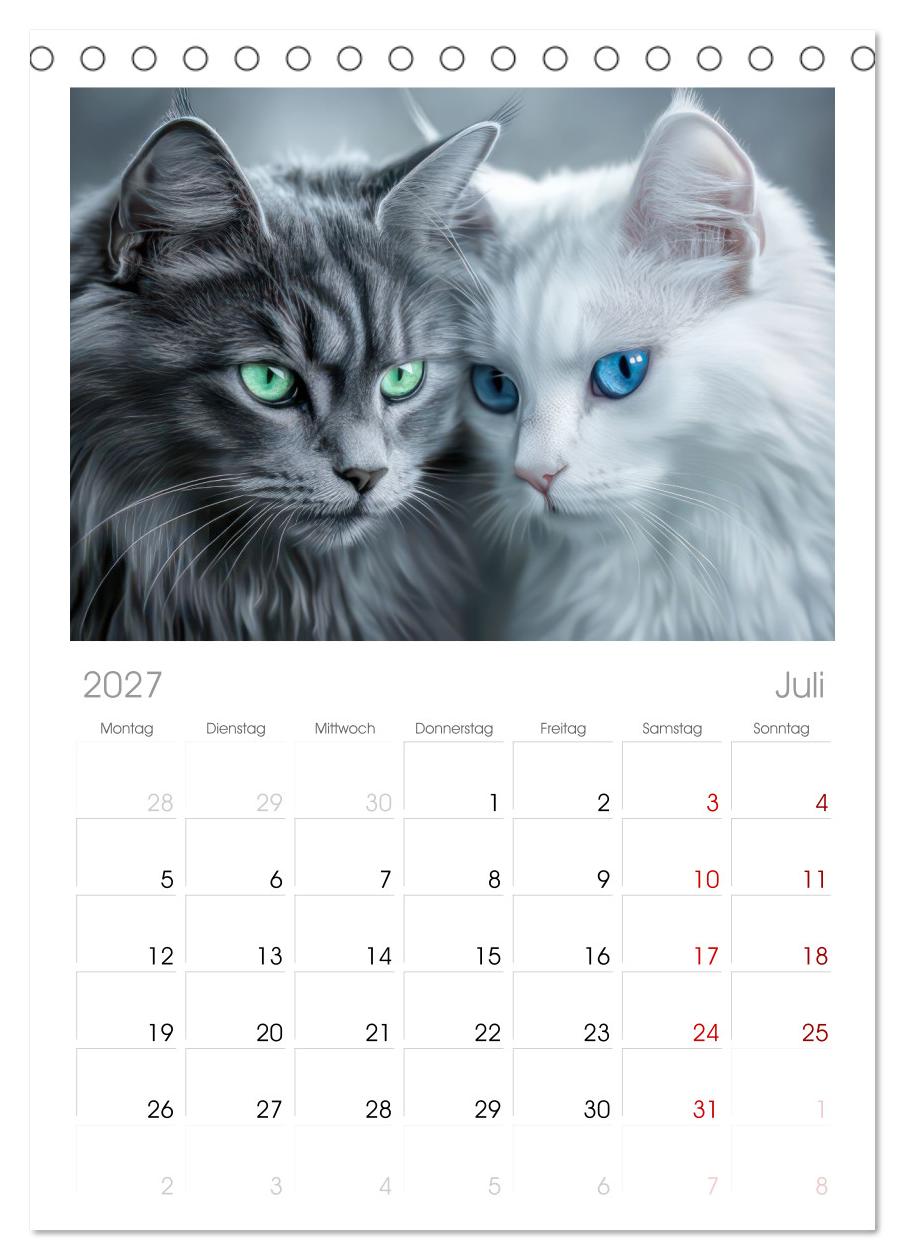 Katzen Illustrationen - Faszination pur