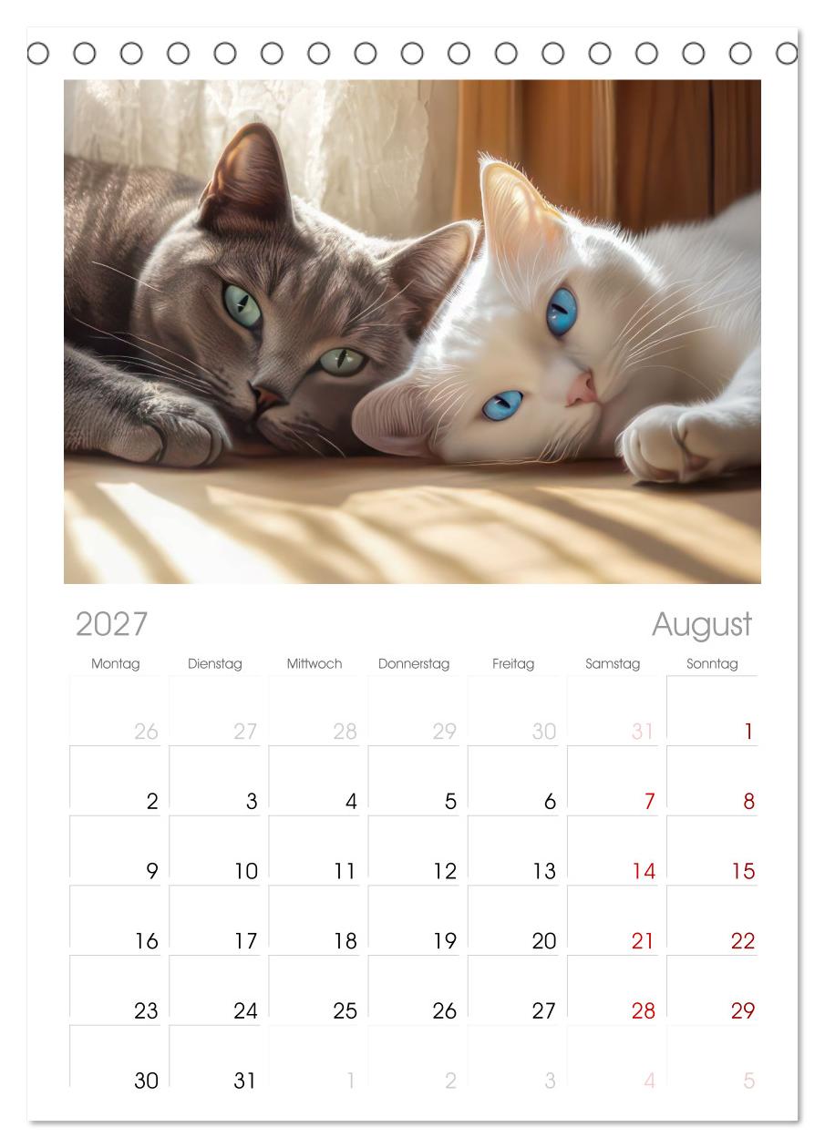 Katzen Illustrationen - Faszination pur