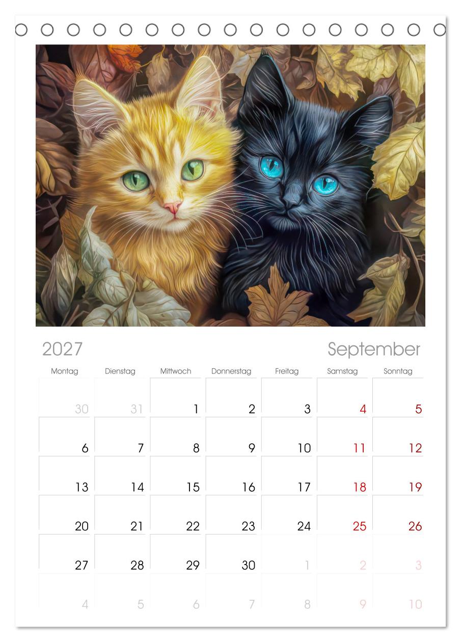 Katzen Illustrationen - Faszination pur