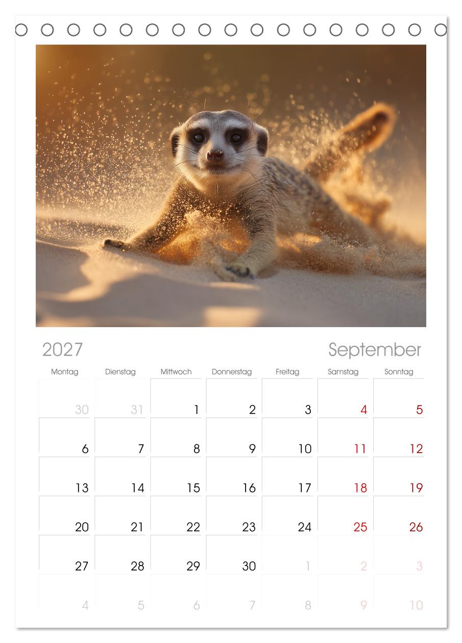 Die Welt der Erdmännchen