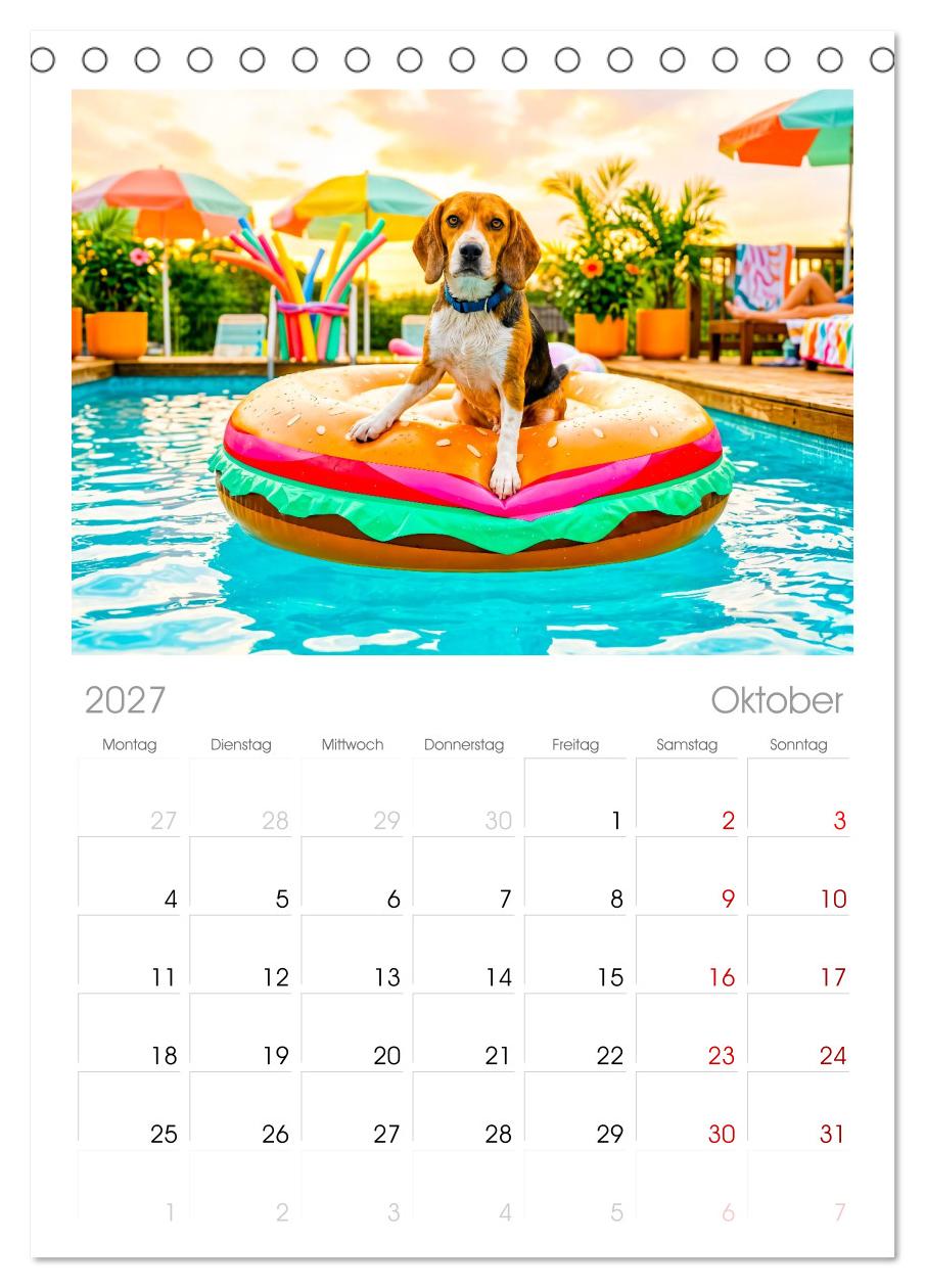 Hunde am Pool - Sommer, Spaß und nasse Pfoten