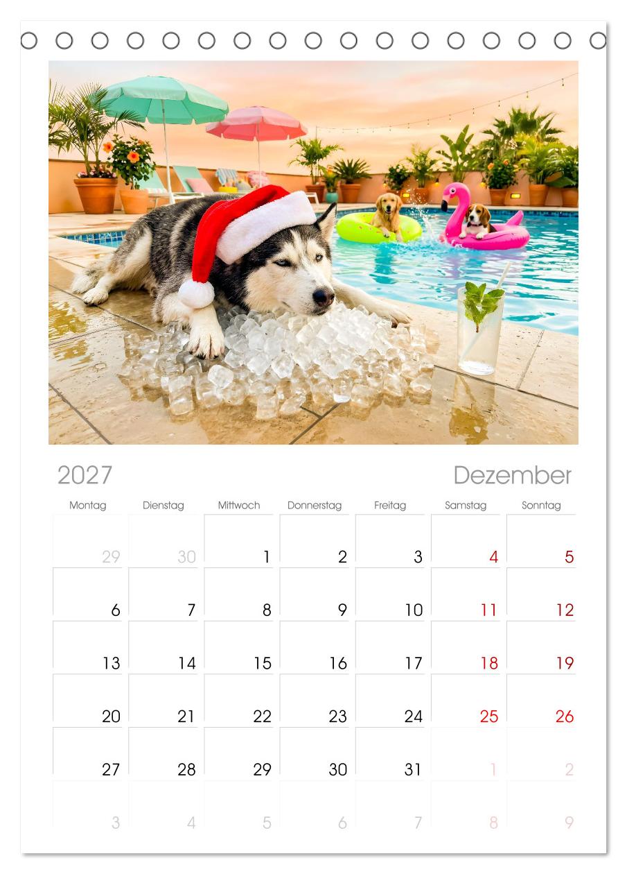 Hunde am Pool - Sommer, Spaß und nasse Pfoten