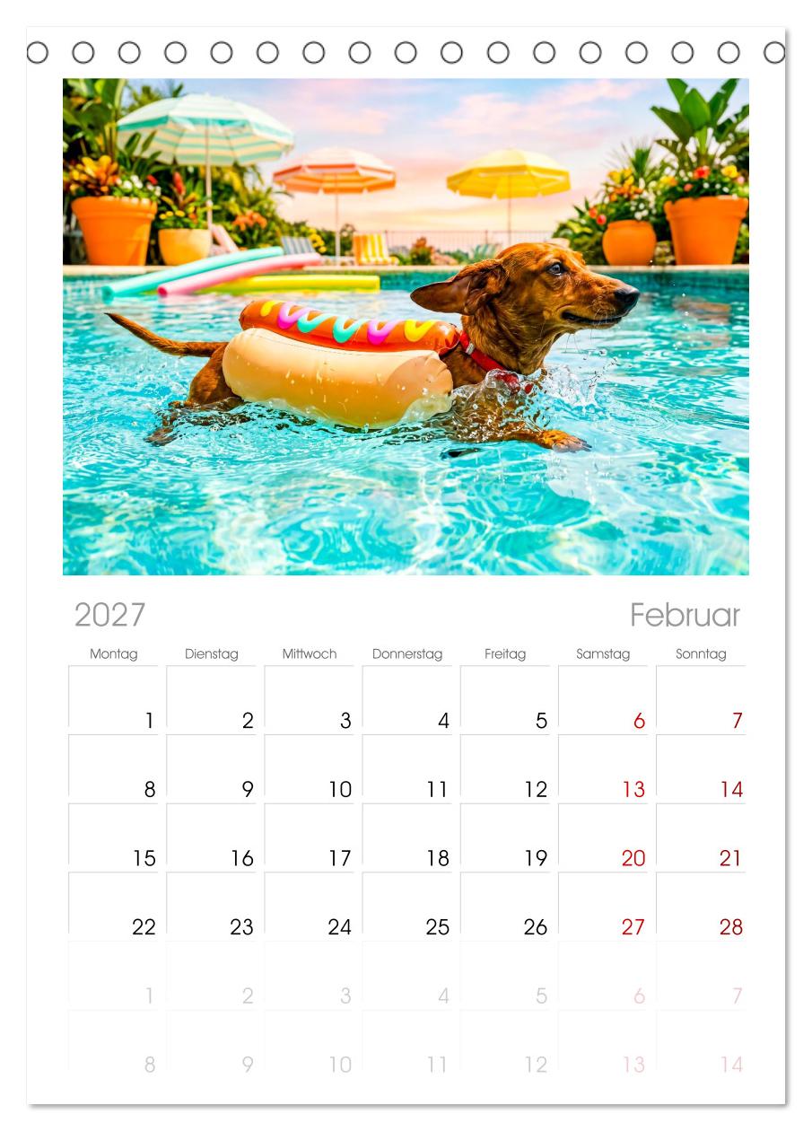 Hunde am Pool - Sommer, Spaß und nasse Pfoten