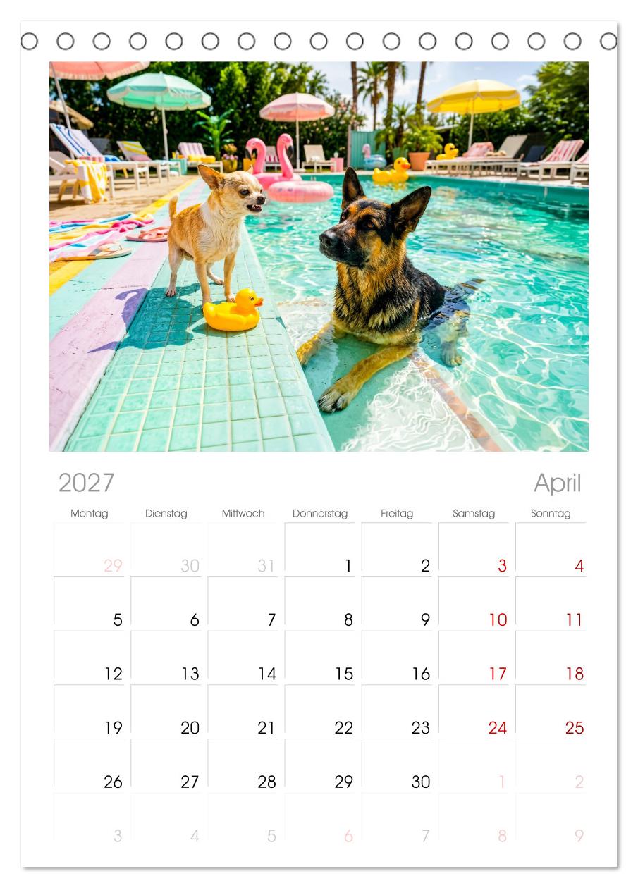 Hunde am Pool - Sommer, Spaß und nasse Pfoten