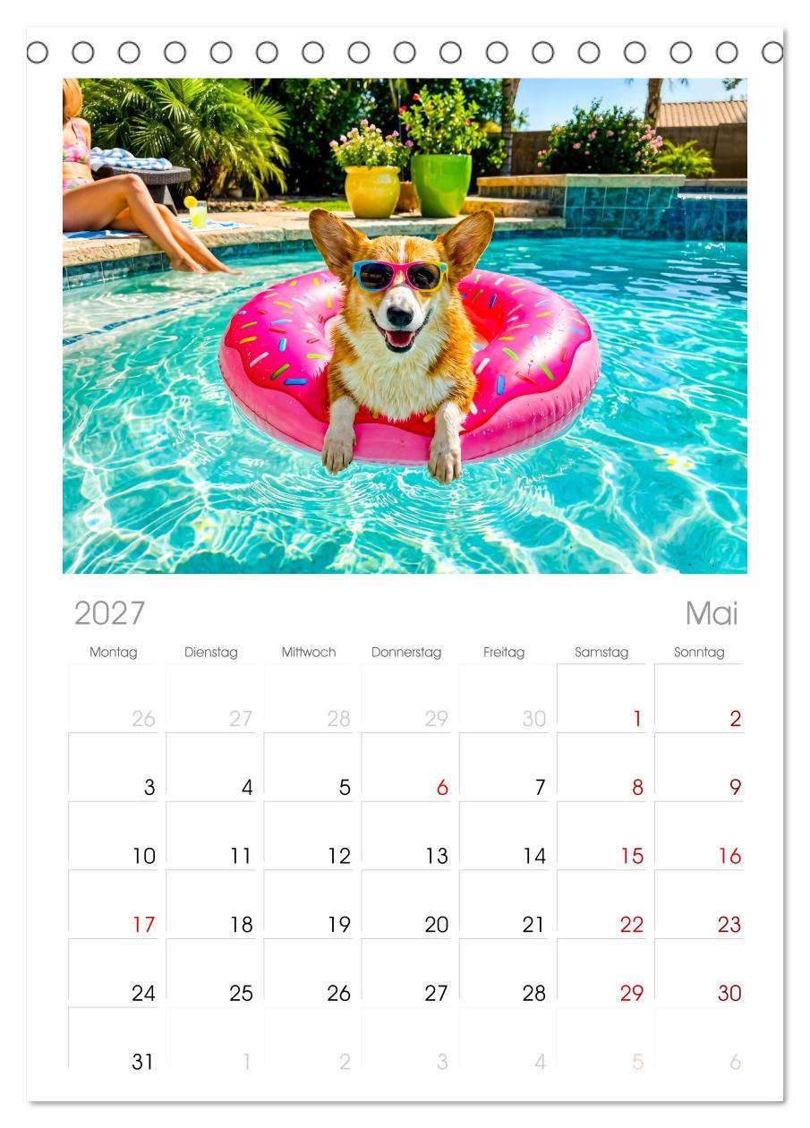 Hunde am Pool - Sommer, Spaß und nasse Pfoten