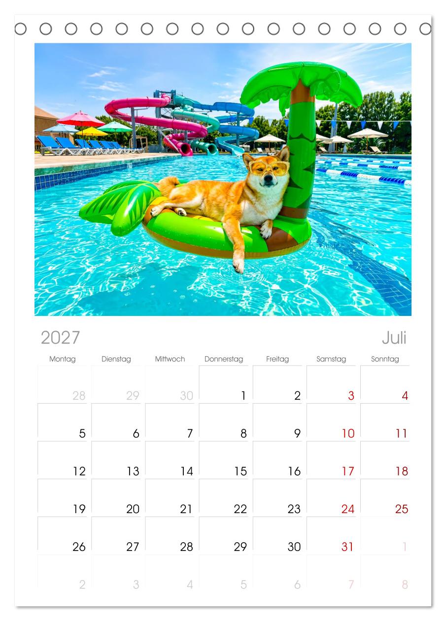 Hunde am Pool - Sommer, Spaß und nasse Pfoten