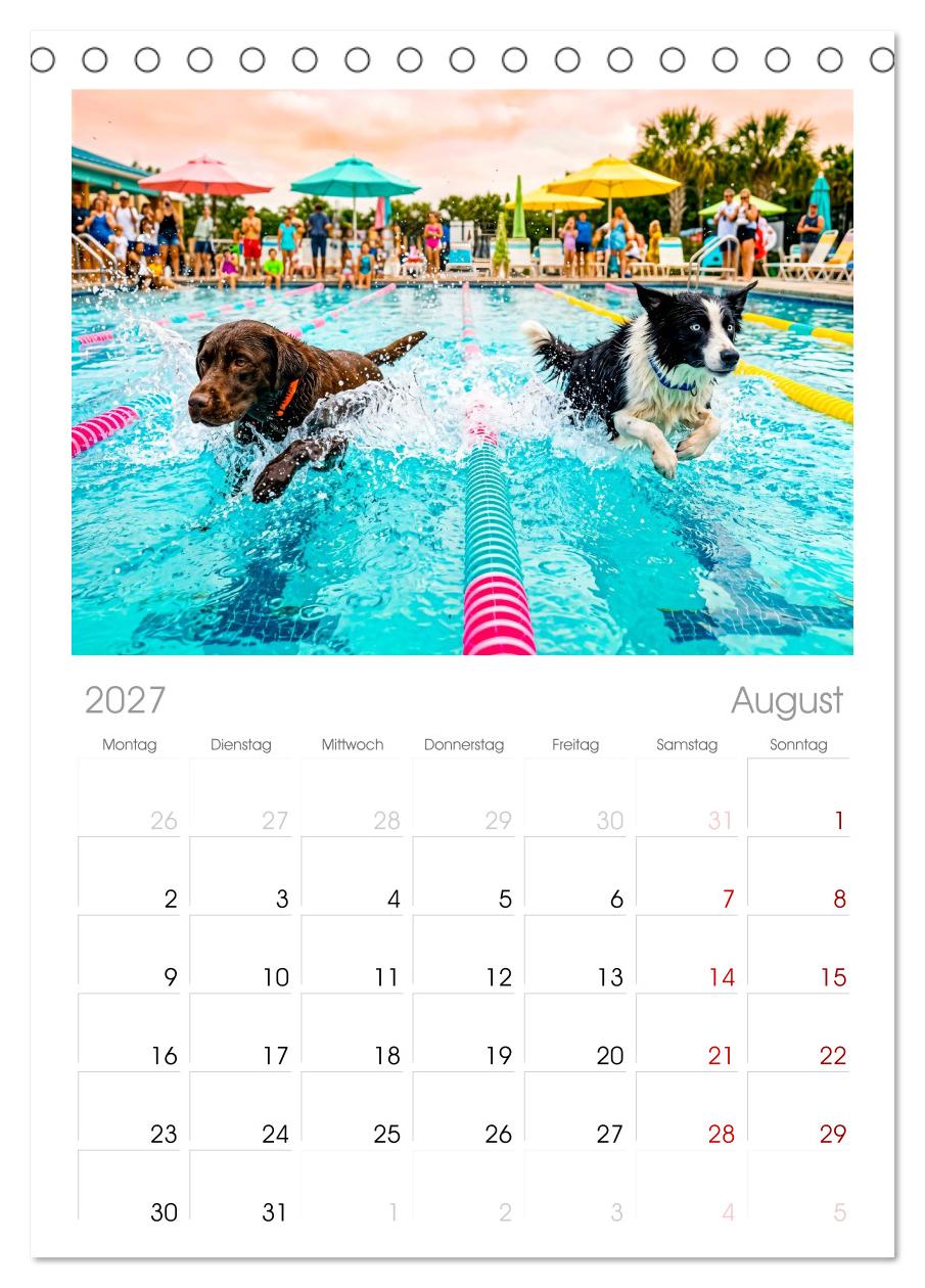 Hunde am Pool - Sommer, Spaß und nasse Pfoten