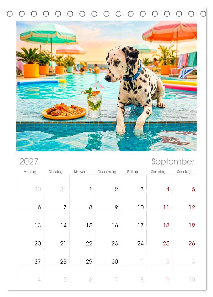 Hunde am Pool - Sommer, Spaß und nasse Pfoten