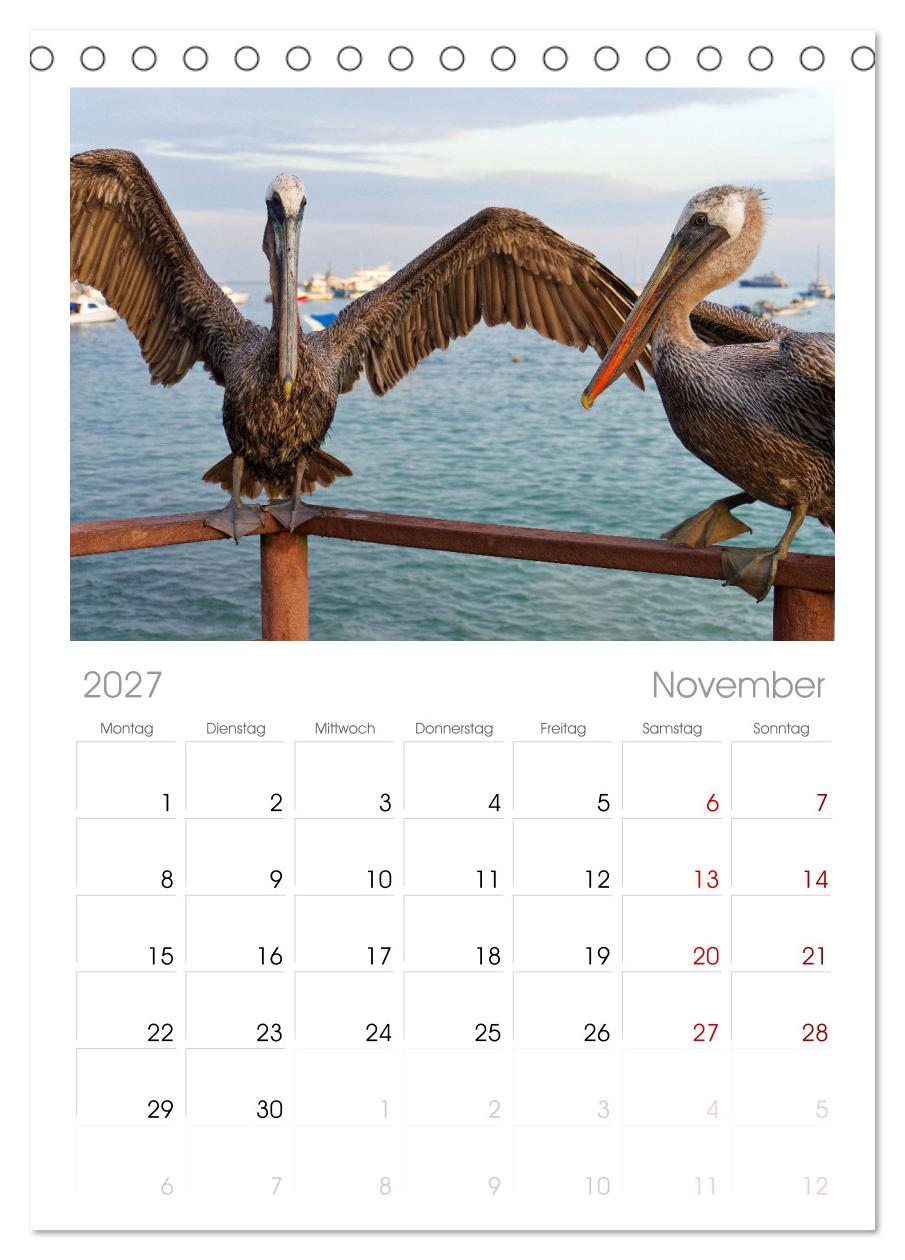 Entdecke Galapagos