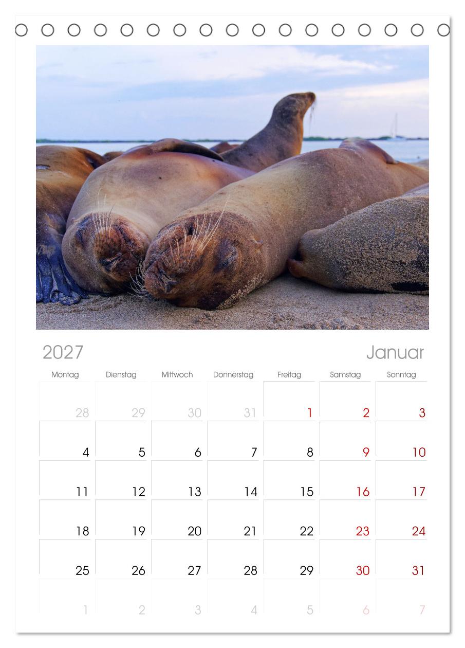 Entdecke Galapagos