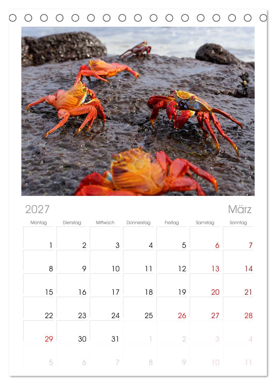 Entdecke Galapagos