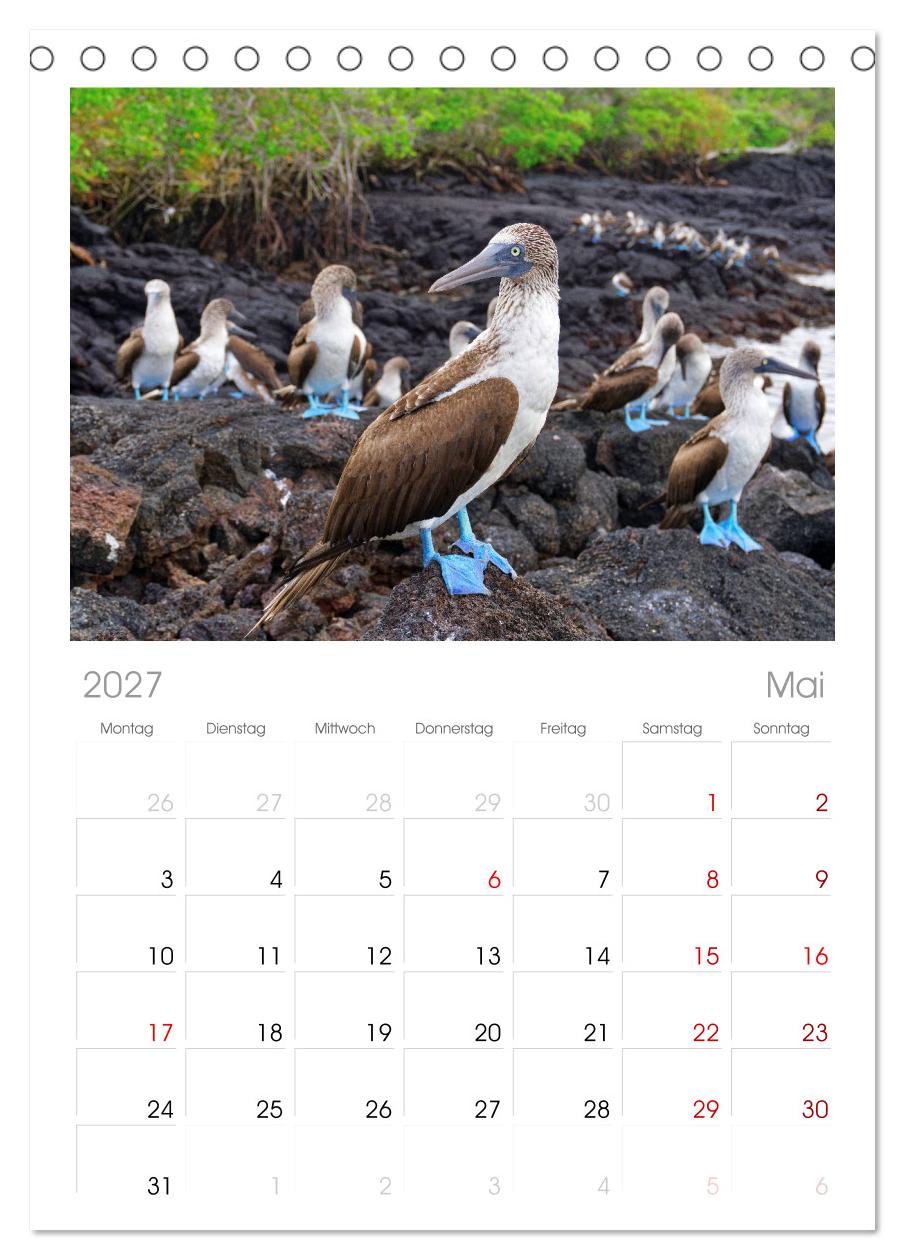 Entdecke Galapagos