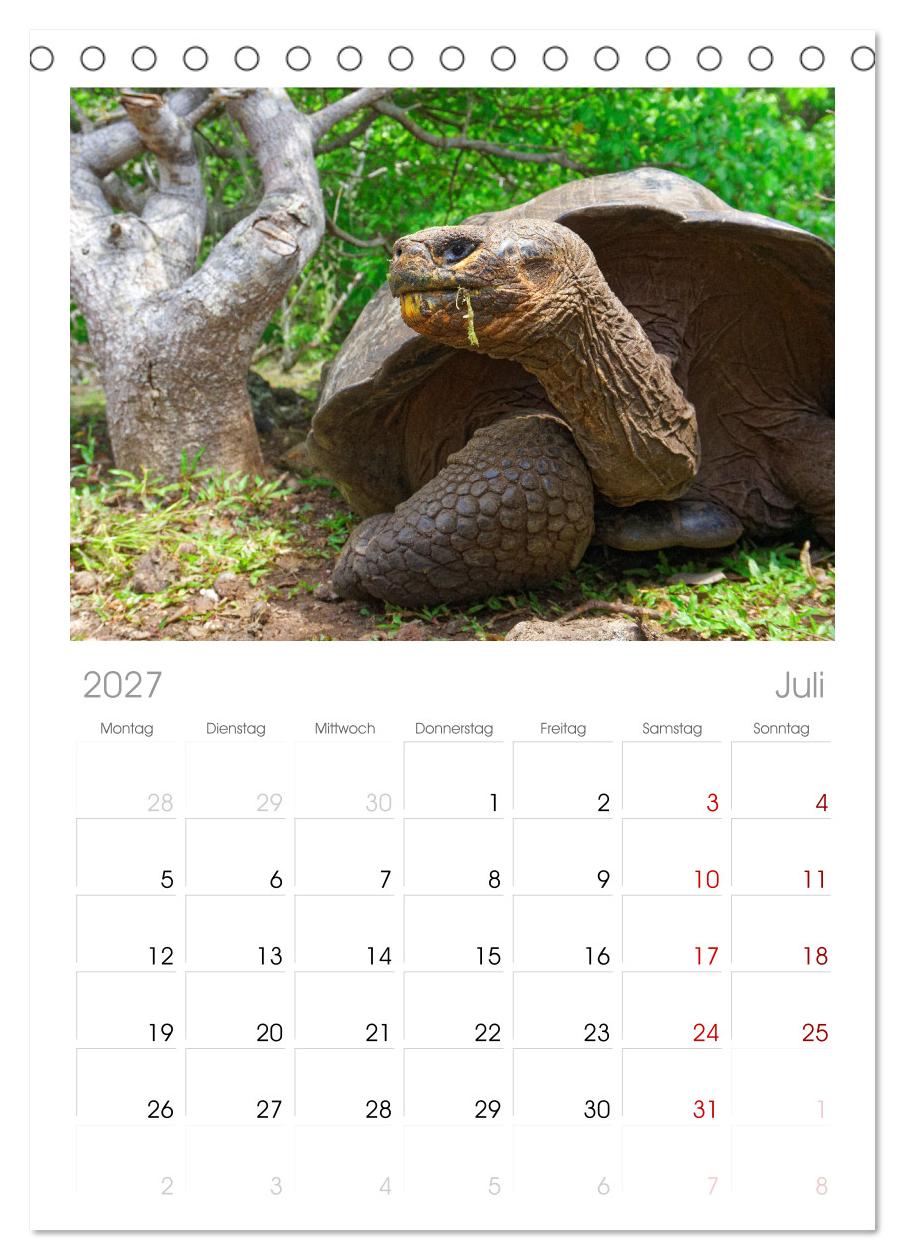 Entdecke Galapagos