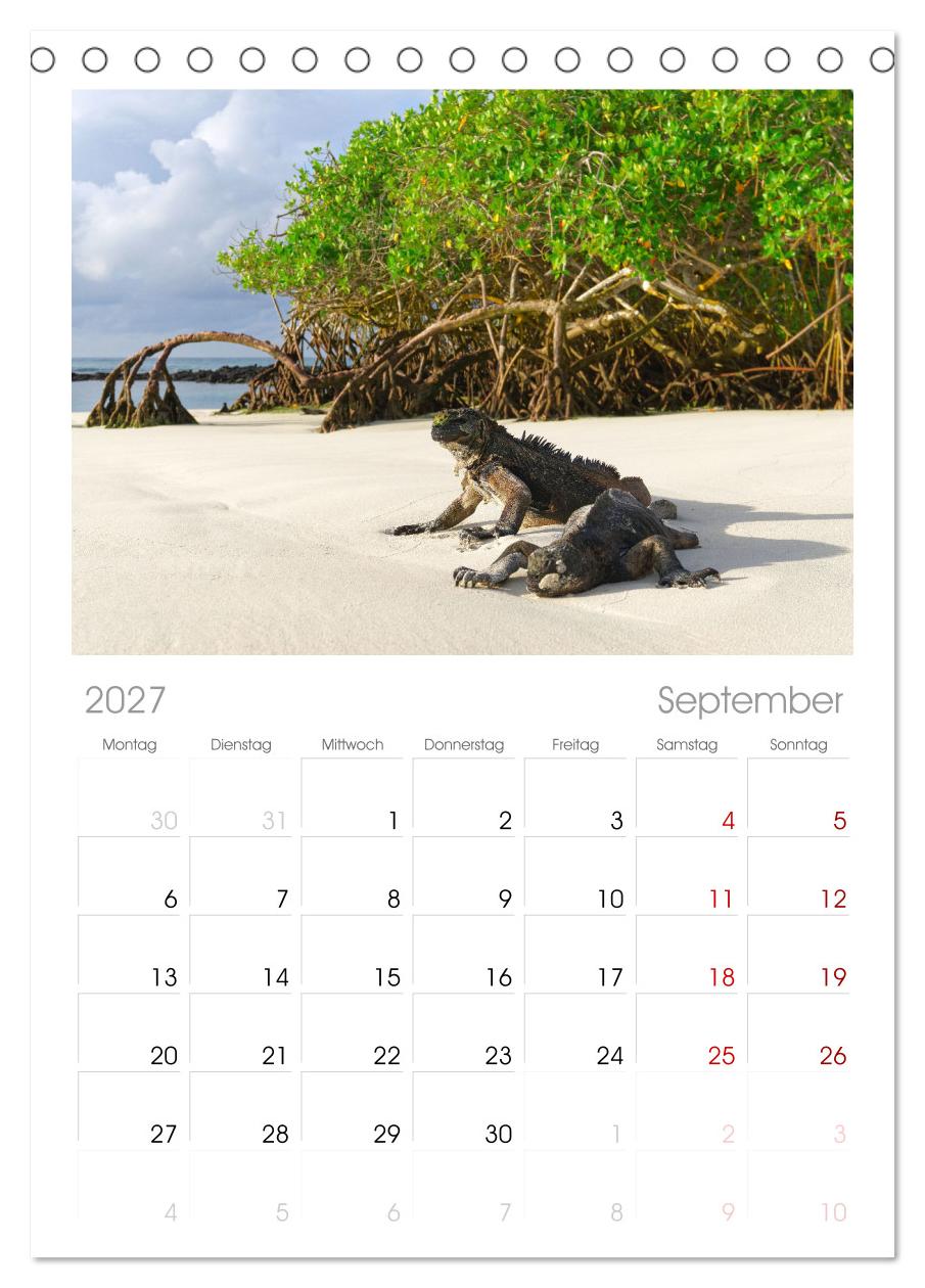 Entdecke Galapagos