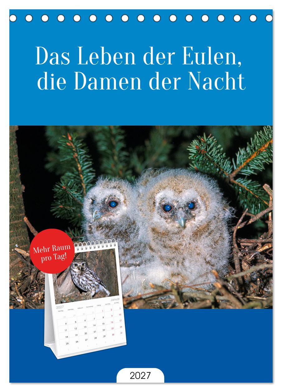 Das Leben der Eulen, die Damen der Nacht
