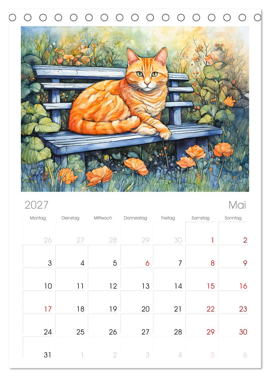 Katzenzauber -  Katzenkalender mit stimmungsvollen Bildern