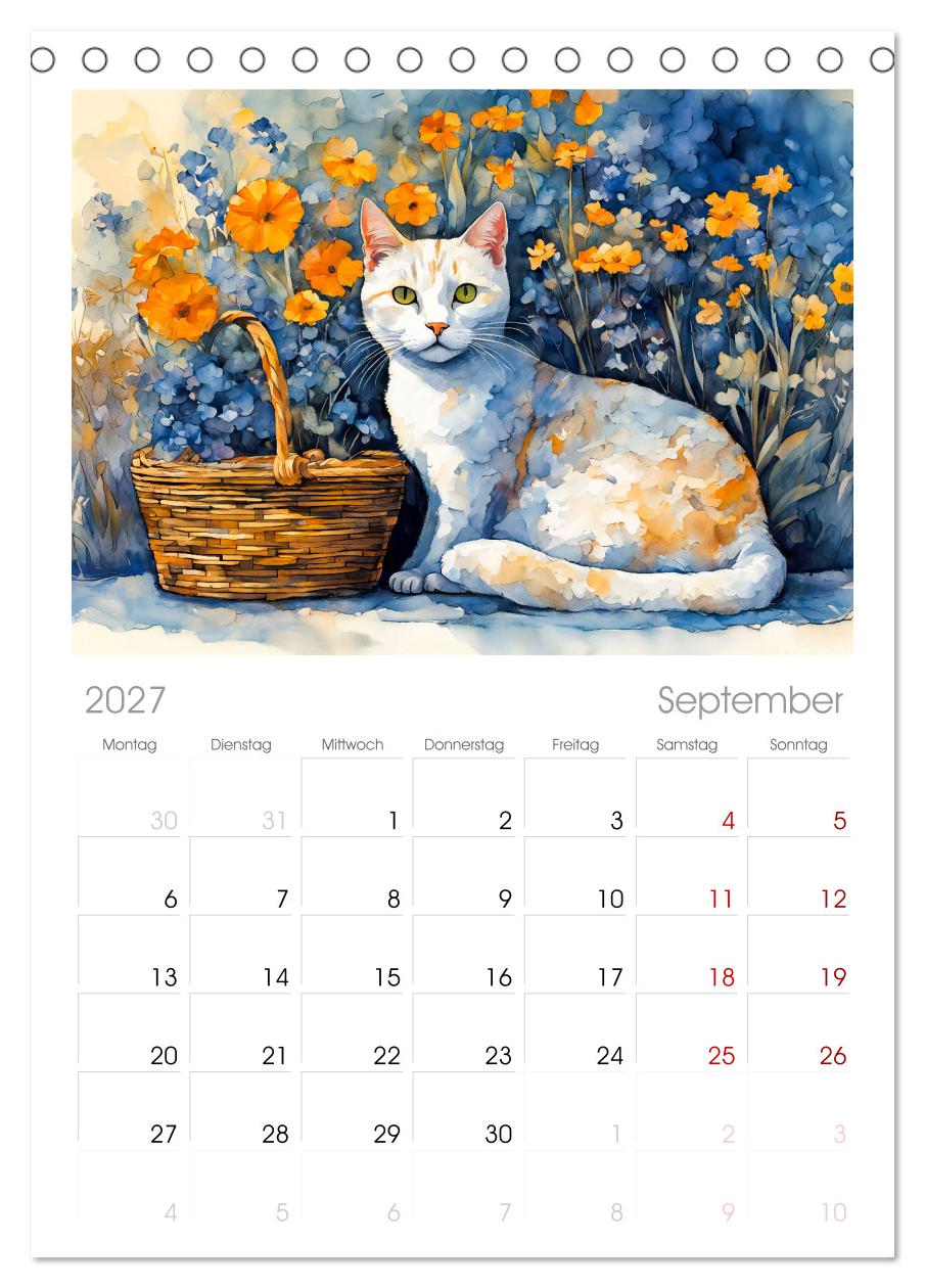 Katzenzauber -  Katzenkalender mit stimmungsvollen Bildern