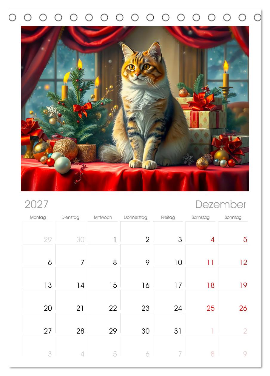 Klassische Katzenporträts - Katzen in opulenten Stillleben