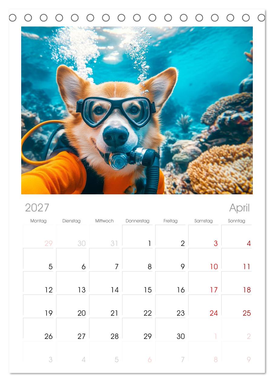 HUNDE-SELFIES Tierischer Outdoorspaß