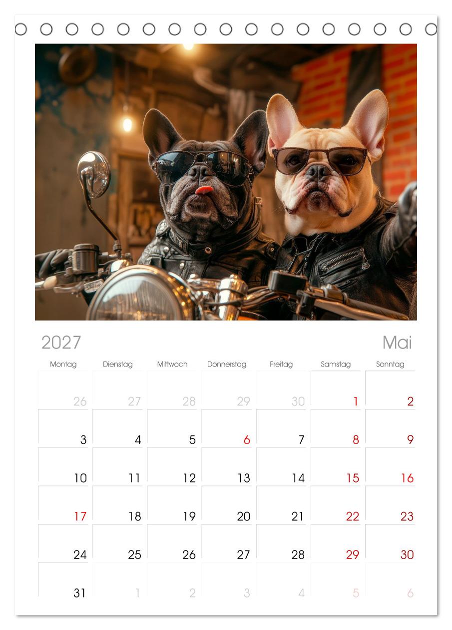 HUNDE-SELFIES Tierischer Outdoorspaß
