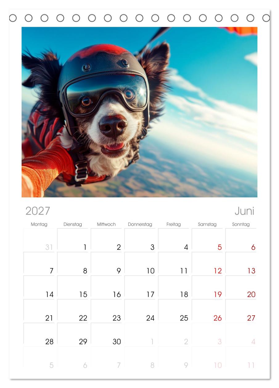 HUNDE-SELFIES Tierischer Outdoorspaß