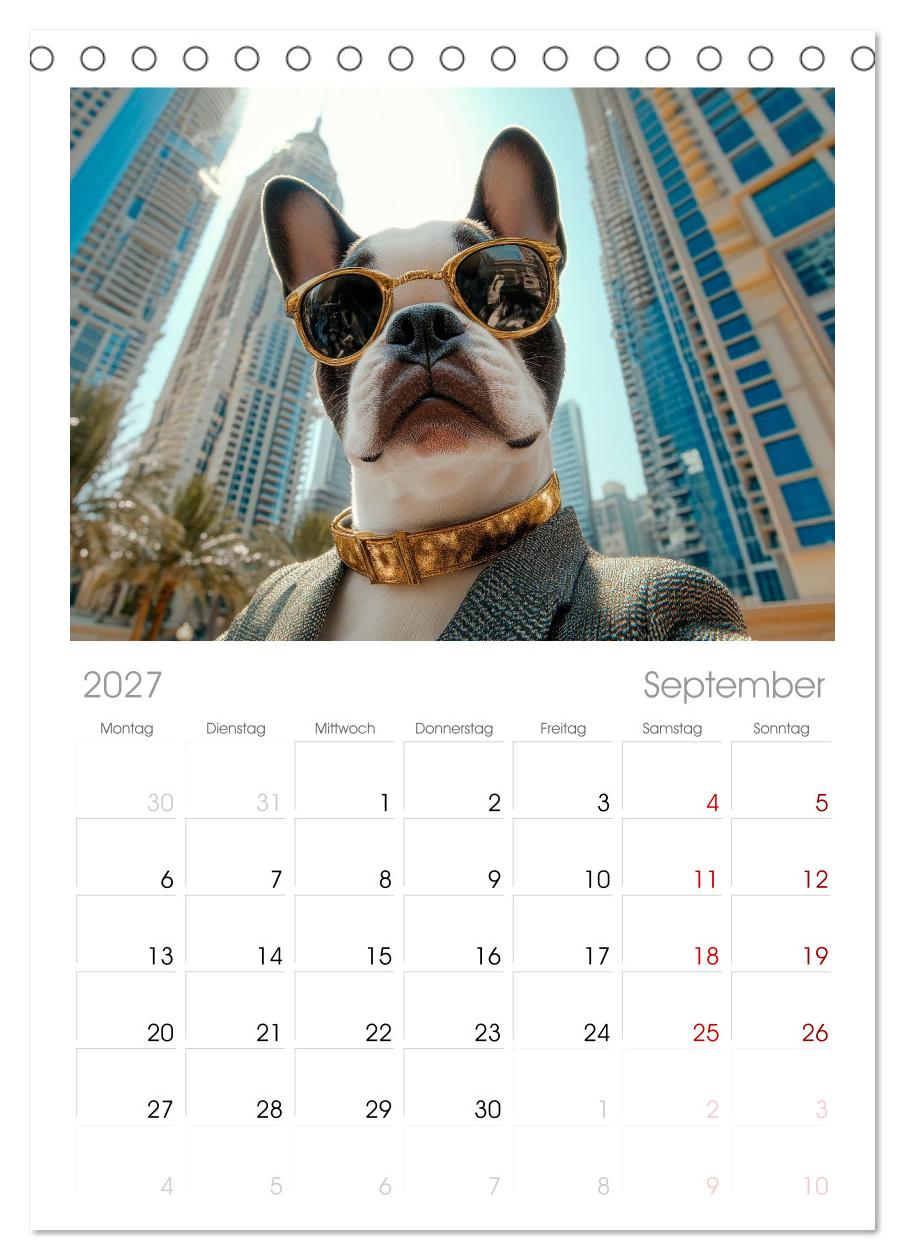 HUNDE-SELFIES Tierischer Outdoorspaß