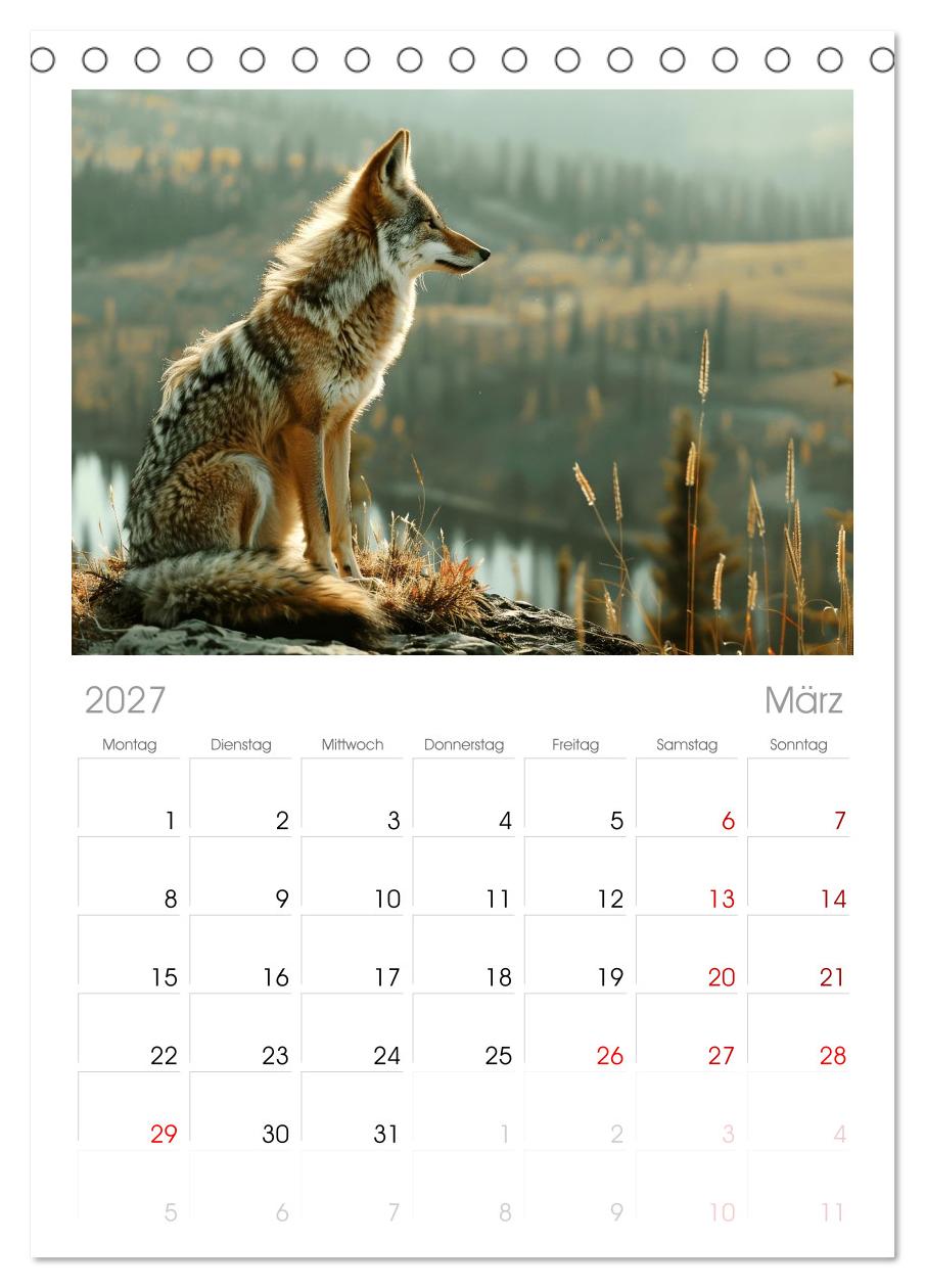 Die wilden Hunde
