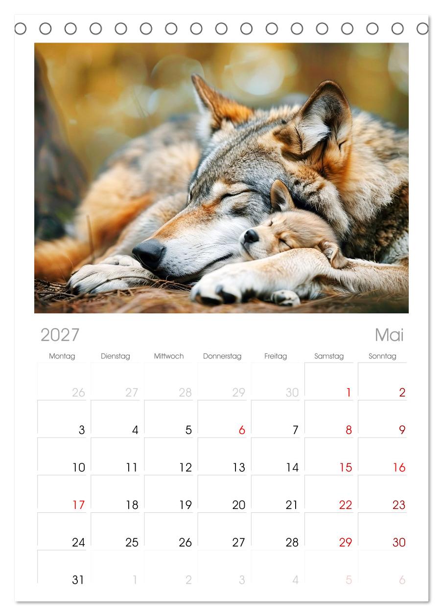 Die wilden Hunde