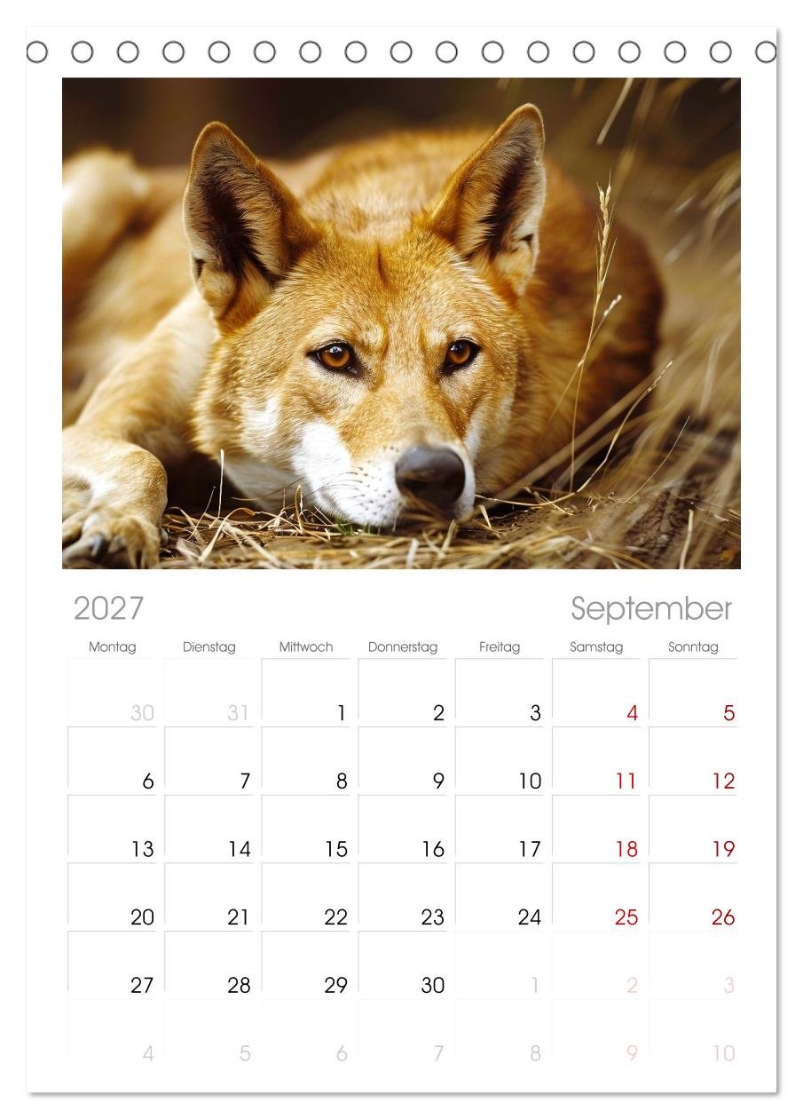 Die wilden Hunde