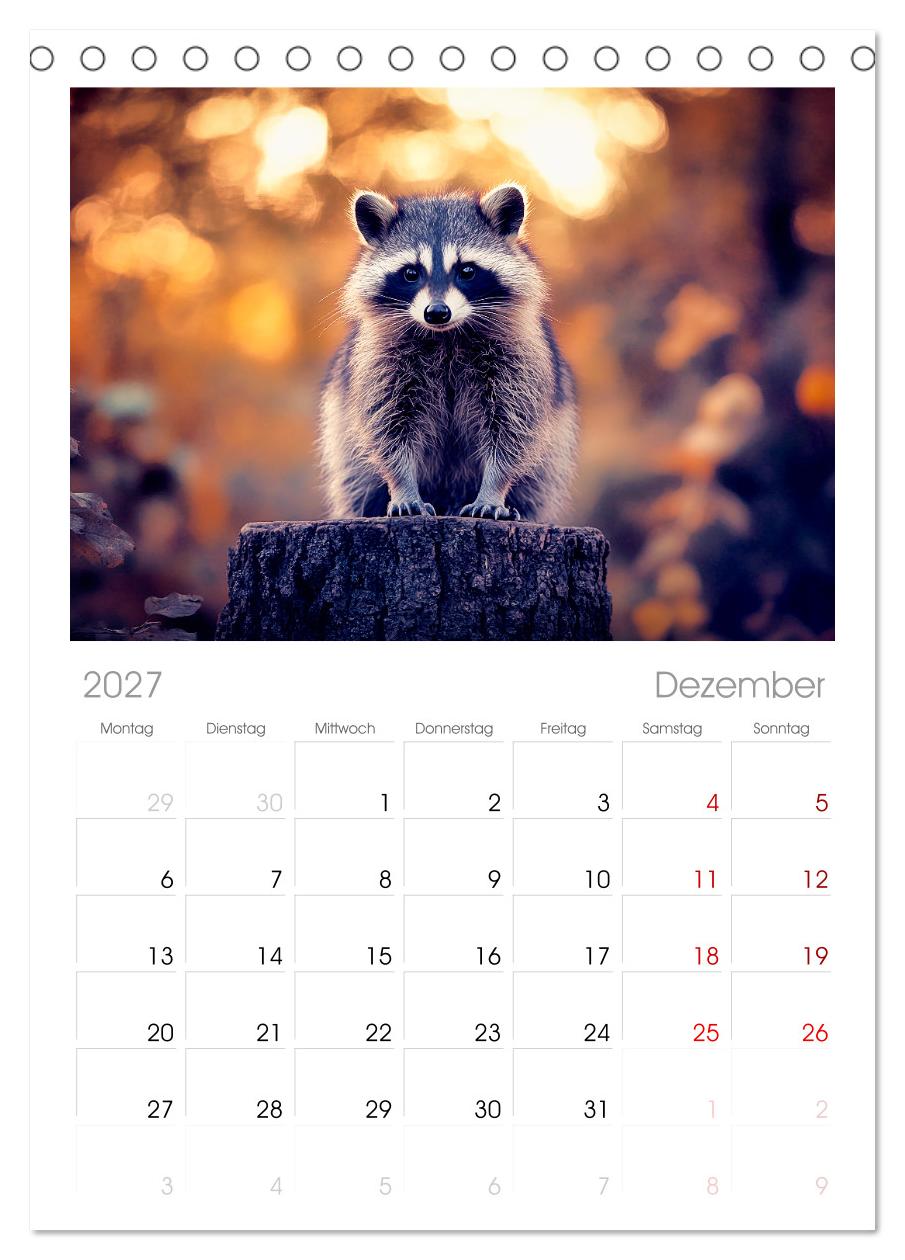 Frech, flauschig, fantastisch - Der Waschbären-Kalender