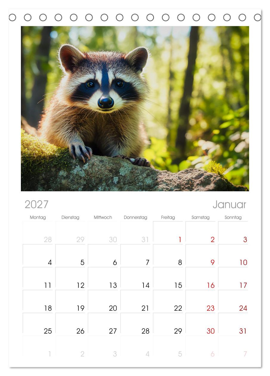 Frech, flauschig, fantastisch - Der Waschbären-Kalender
