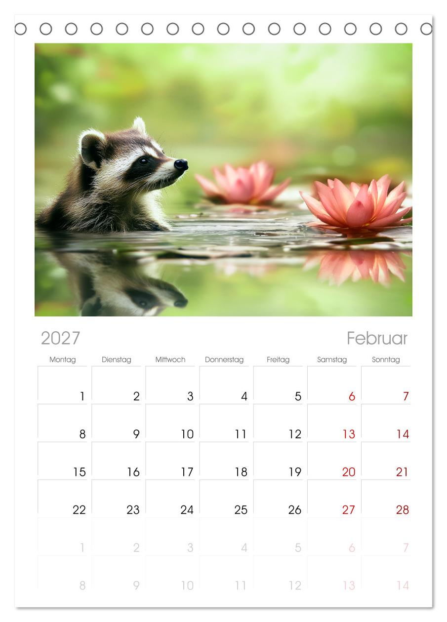 Frech, flauschig, fantastisch - Der Waschbären-Kalender