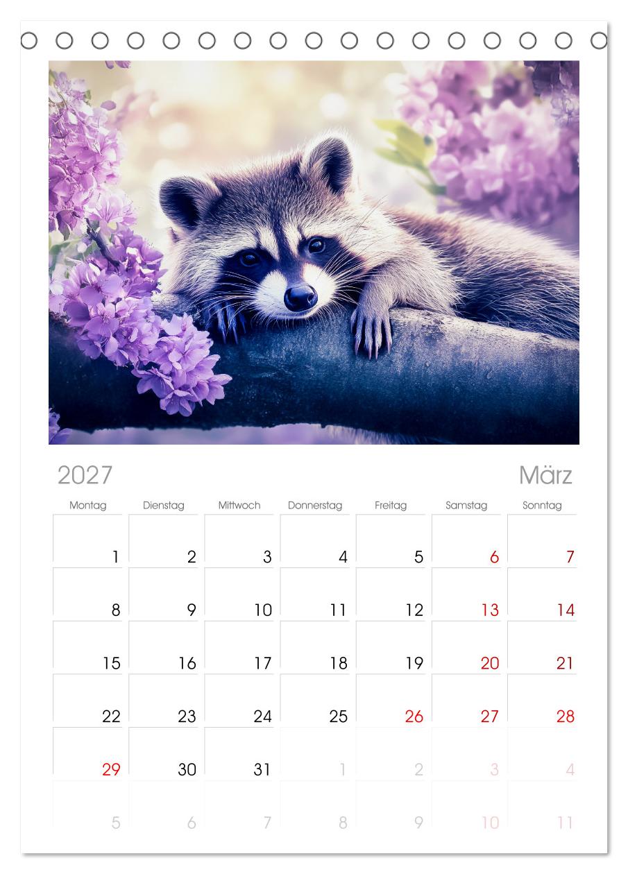 Frech, flauschig, fantastisch - Der Waschbären-Kalender