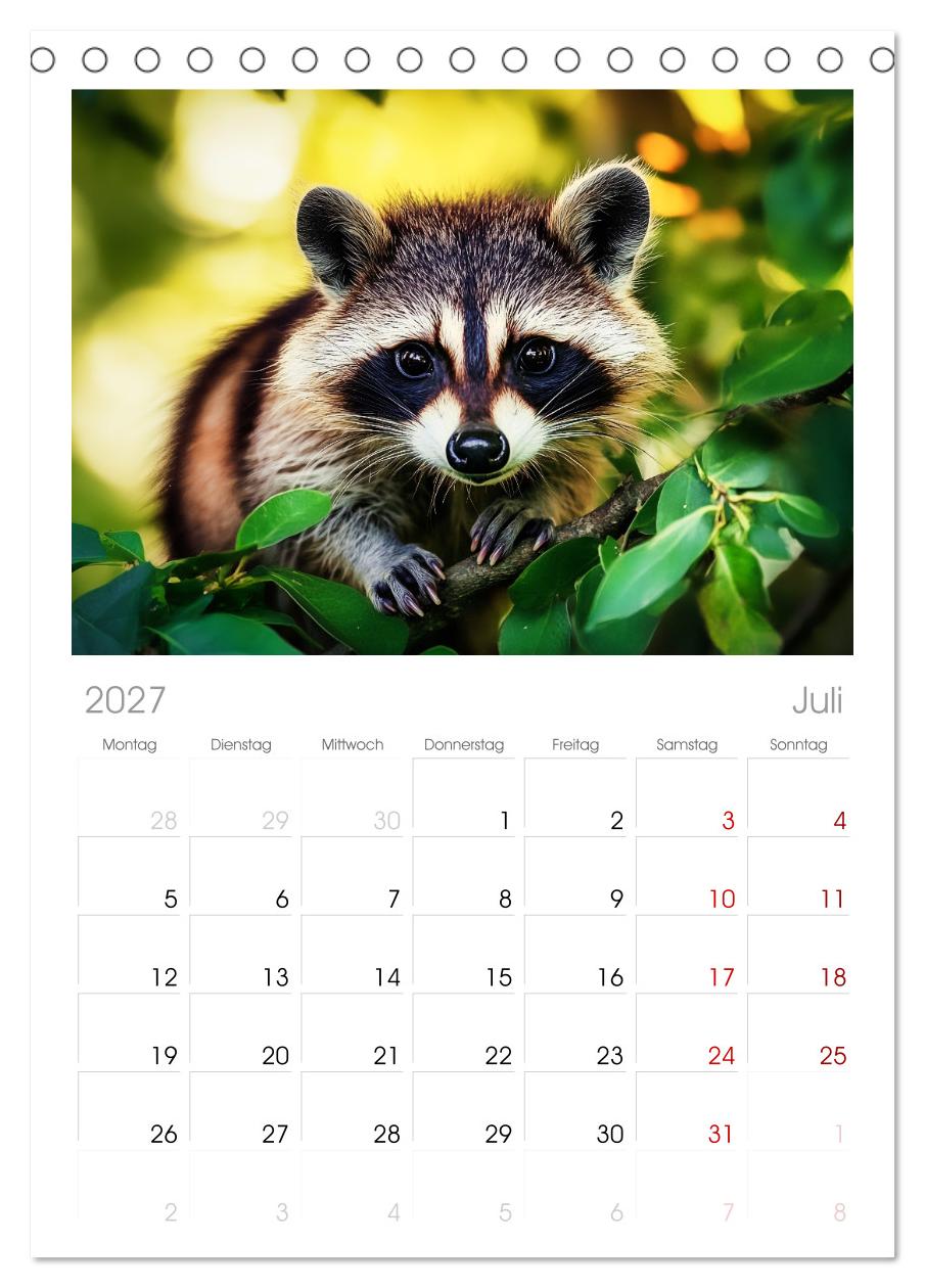 Frech, flauschig, fantastisch - Der Waschbären-Kalender