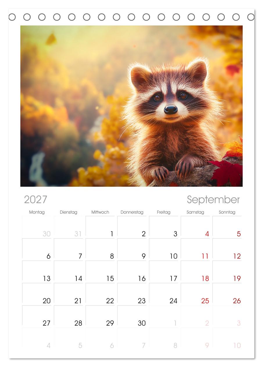 Frech, flauschig, fantastisch - Der Waschbären-Kalender
