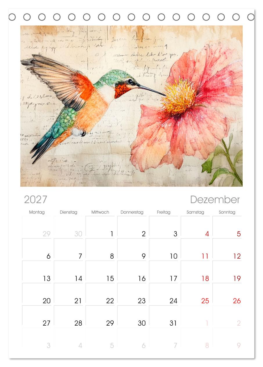Fliegende Kunstwerke - Kolibris